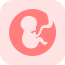 胎教孕期食谱最新安卓版下载
